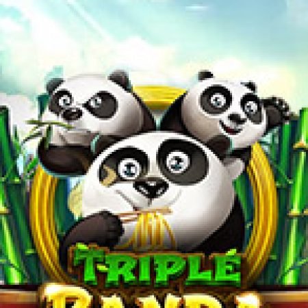 Hướng Dẫn Toàn Diện Chơi Triple Panda Slot: Mẹo & Thủ Thuật