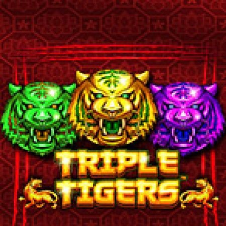 Tam Hổ Phát Tài – Triple Tigers Slot: Hướng Dẫn Chi Tiết Để Thắng Lớn và Giành Jackpot!