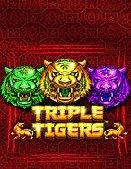 Tam Hổ Phát Tài – Triple Tigers Slot: Hướng Dẫn Chi Tiết Để Thắng Lớn và Giành Jackpot!