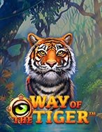 Đánh Giá Way of the Tiger Slot: Kỳ Quan Game Slot Mới Nhất