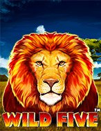 Hướng Dẫn Toàn Diện Chơi Wild Five Slot: Mẹo & Thủ Thuật