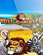 Giới Thiệu Wild Gambler Slot: Kỷ Nguyên Mới Của Trò Chơi Slot