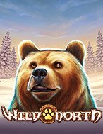 Bí Kíp Chơi Phương Bắc Hoang Dã – Wild North Slot: Tăng Cơ Hội Thắng Cược Tối Đa