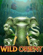 Hướng Dẫn Toàn Diện Chơi Thần Thú Phương Đông – Wild Orient Slot: Mẹo & Thủ Thuật