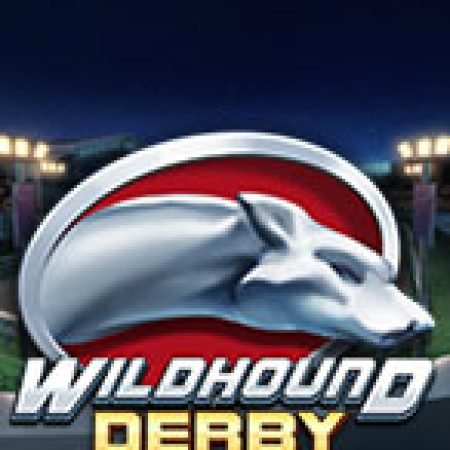 Bí Kíp Chơi Đua Chó Bạc – Wildhound Derby Slot: Tăng Cơ Hội Thắng Cược Tối Đa