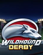 Bí Kíp Chơi Đua Chó Bạc – Wildhound Derby Slot: Tăng Cơ Hội Thắng Cược Tối Đa